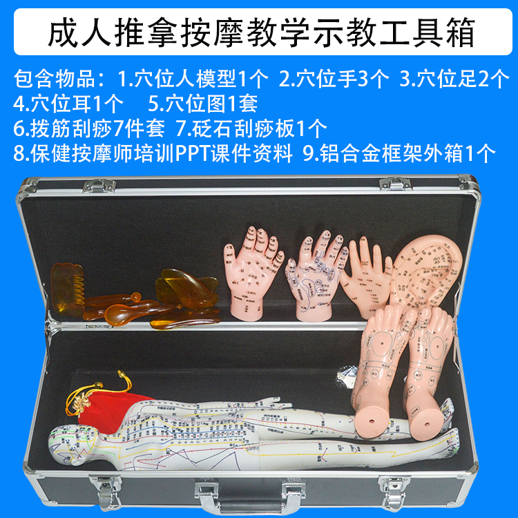 成人推拿按摩教学示教工具箱 穴位人体模型穴位手耳朵足教学模型